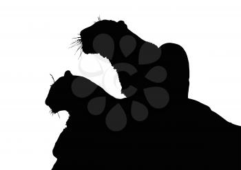 Detailed Portrait Silhouette of Young Leopard Siblings 