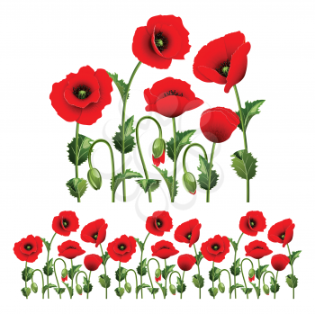 Royalty Free Clipart Image of Red Poppies