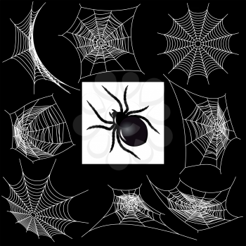 Royalty Free Clipart Image of a Spider and Webs