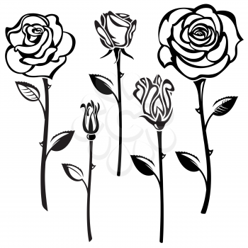 Collection of black and white roses