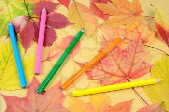 autumn leaves and pencils crayon