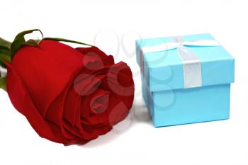 blue box for gifts and rose isolated on white background