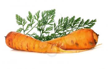 carrot and leaf isolated on white background