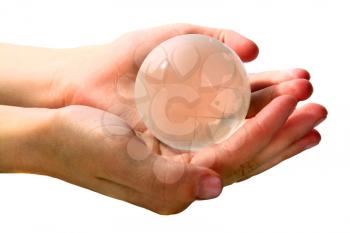 glass globe is in hands isolated on white background