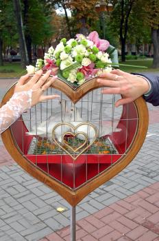 hands of groom and fiancee on a cage with pigeons