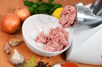 meat grinder and forcemeat with spices