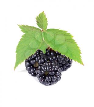 ripe blackberry with green leaves isolated on white background