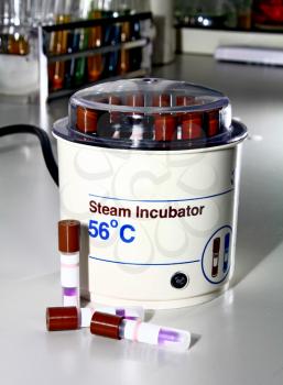 steam incubator for a laboratory