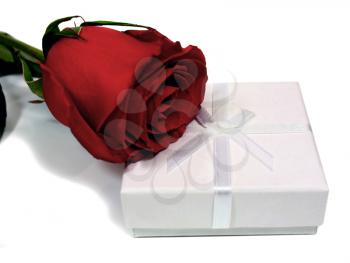white box for gifts and rose isolated on white background