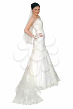beautiful bride vector illustration isolated on white background