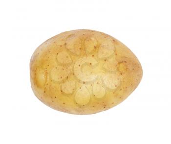 One potato isolated, object on white background 