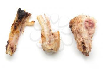 gnawed bones from chicken