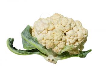 Cauliflower isolated on white 