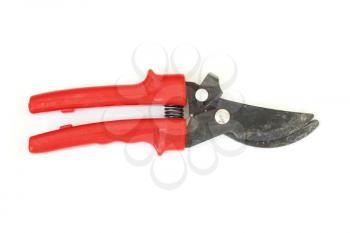 pruner red on a white background
