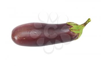 Eggplant isolated on white background 