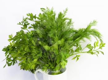 dill and parsley at platw isolated on a white background 