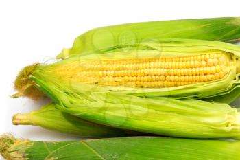 corn on a white background