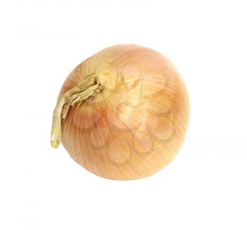 Ripe onion on a white background 