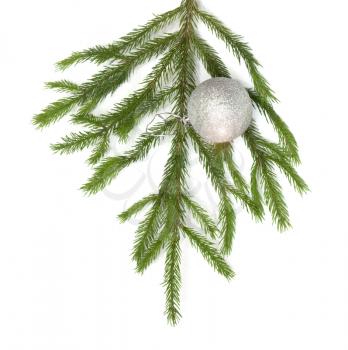 xmas tree ball hanging on a Christmas tree branch, isolated 