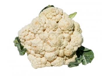 Cauliflower isolated on white 
