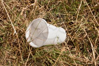 plastic cup on the nature of how the garbage