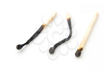 burned match on a white background