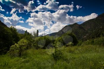 Tien Shan Mountains in the nature