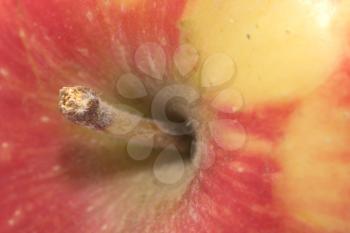background of the apple. macro