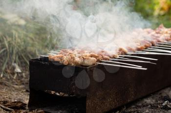 skewers. grilled meat on the coals