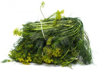 Dill with flowers on a white background. macro