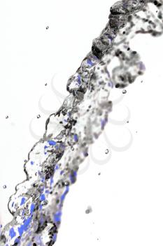 with splashes of water on a white background