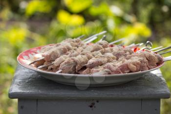 marinated meat for barbecue in nature