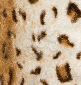 leopard tiger skin texture background