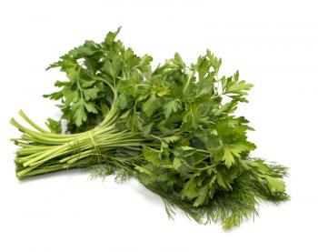 parsley and dill on a white background. macro