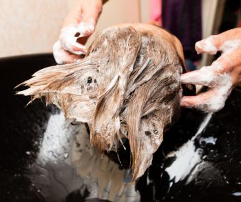 Wash a woman's head in a beauty salon .