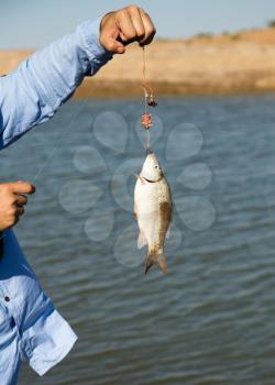 The fisherman caught the fish on a fishing pole .