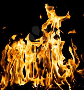 abstract background. fire flames on a black background