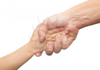 hands of father and son on a white background