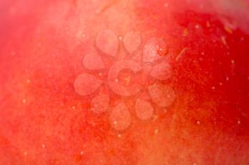 background of a red apple. macro