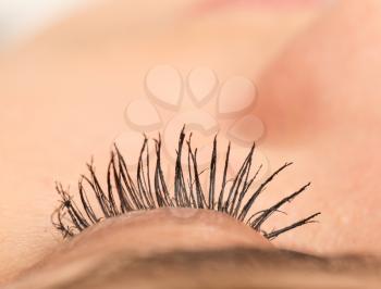women's eyelashes. close-up