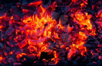 Campfire with burning firewood on foreground closeup