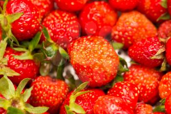 Fresh ripe perfect strawberry - Food Frame Background