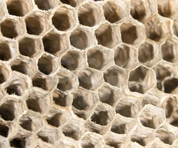 honeycomb as background