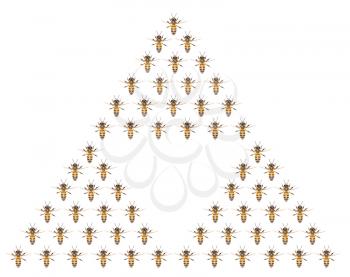 a swarm of bees on a white background
