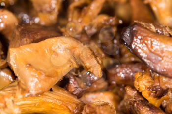fried mushrooms. close-up