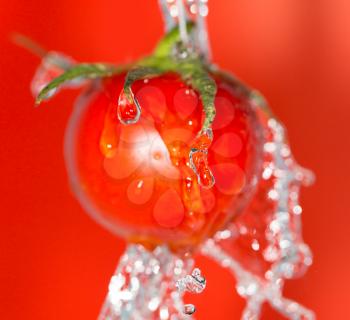 ripe tomatoes in water on a red background