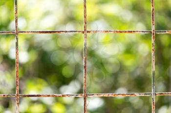 iron hain fence with background