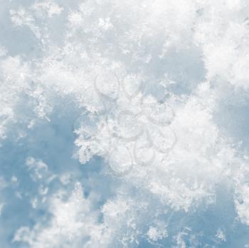snow as a background. close-up