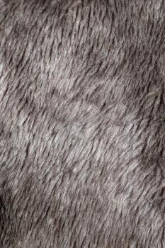 background fur