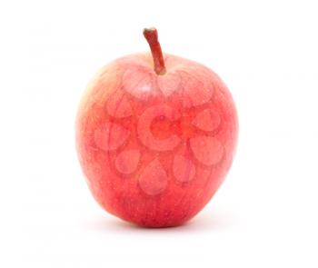 an apple on a white background